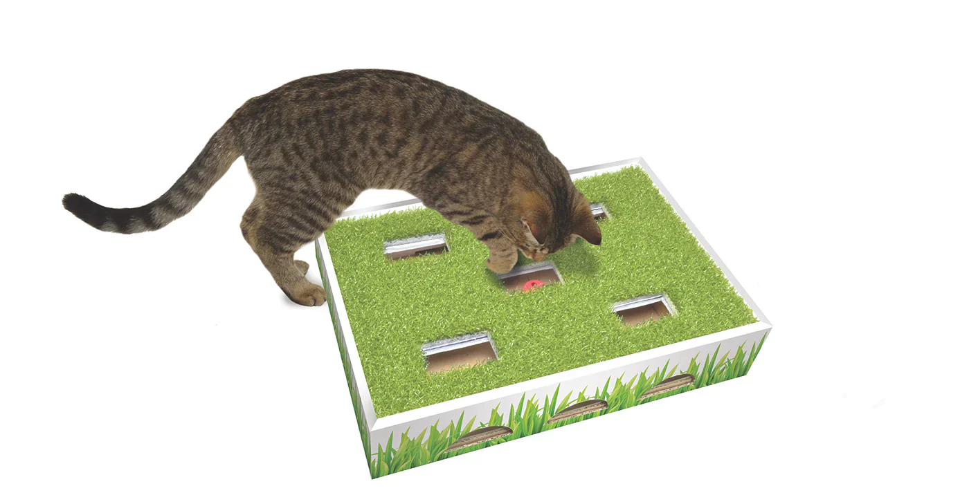 Catstages Cat Grass Patch Hunting Box - Image 3
