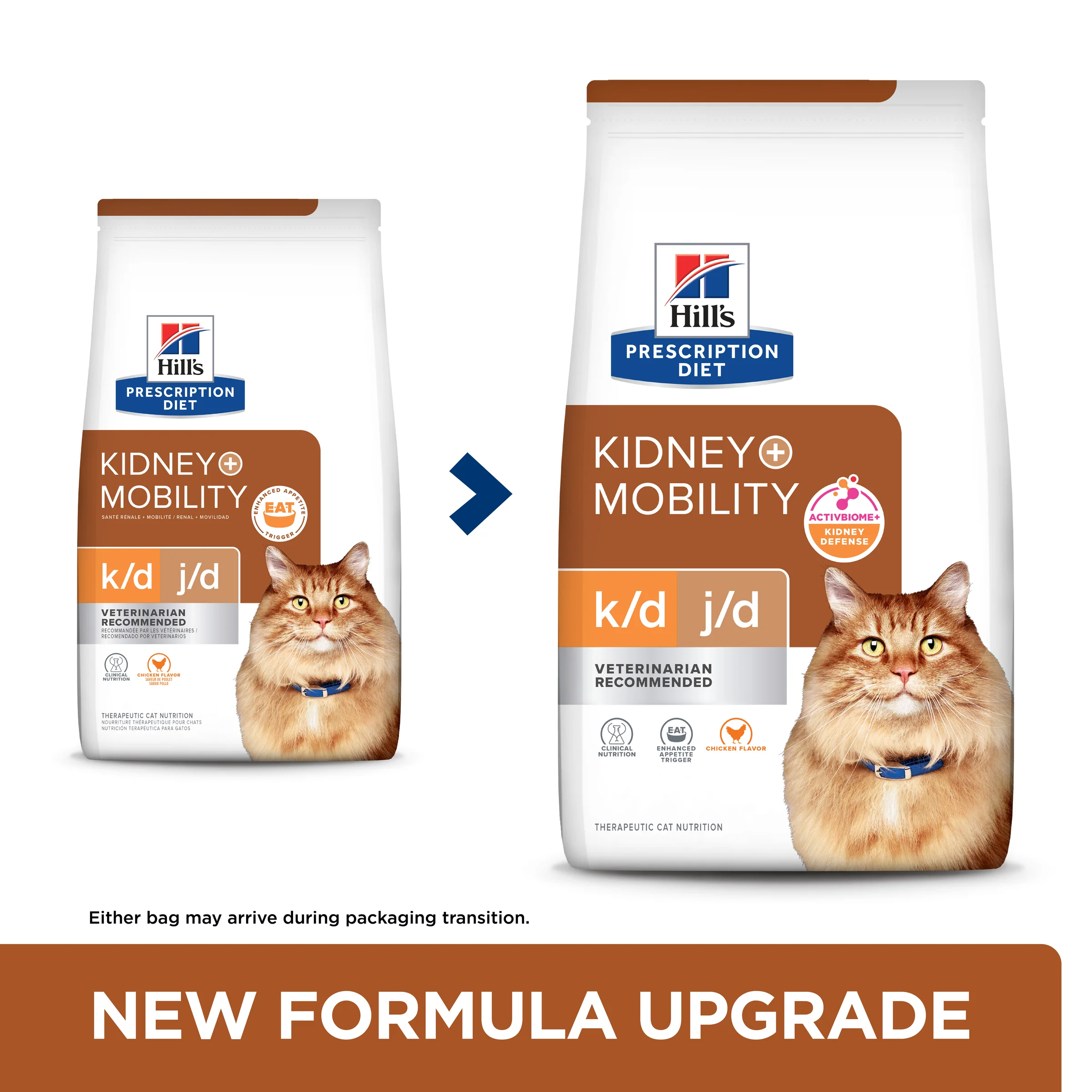Hills Prescription Diet K/d Mobility 2.8kg - Image 9