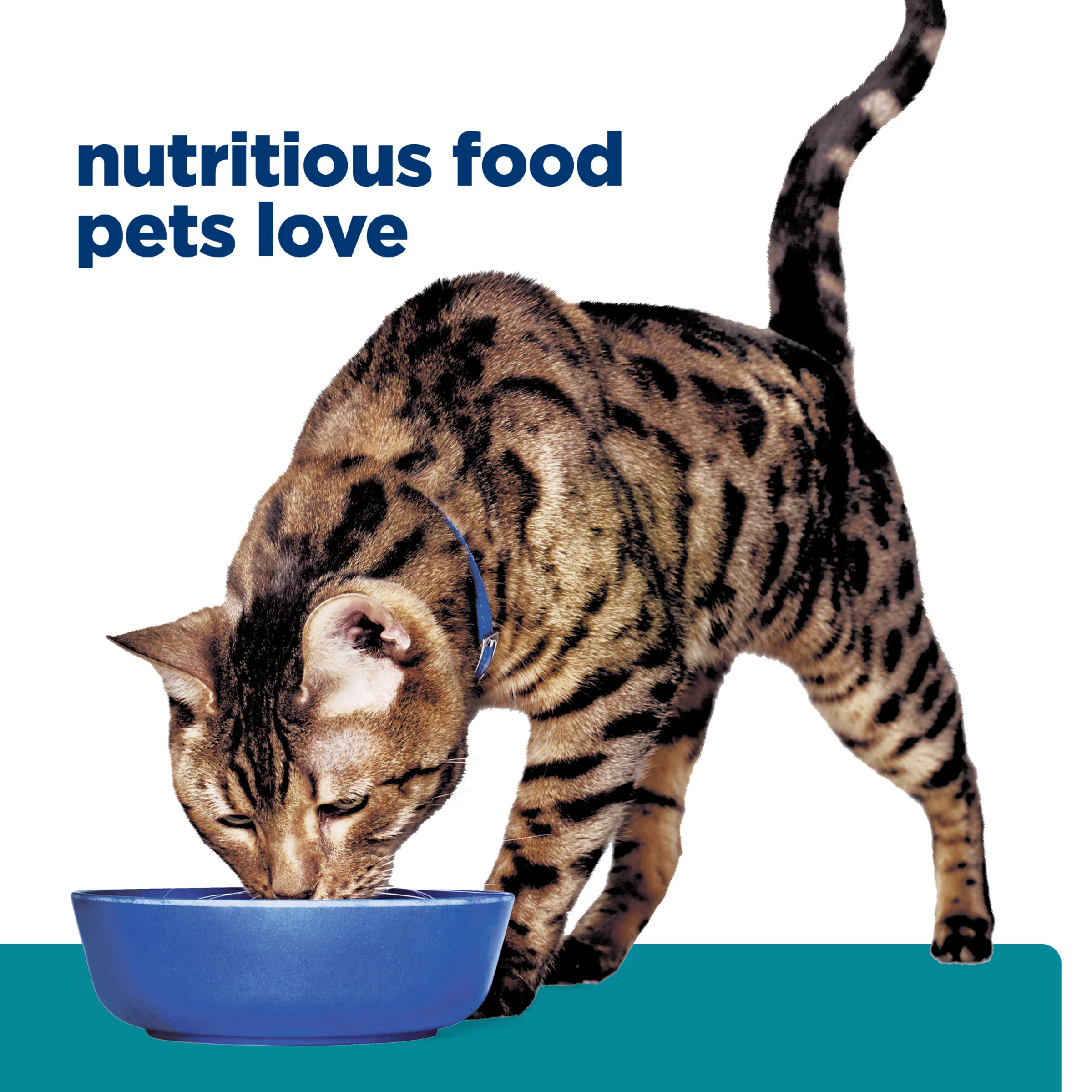 Hills Prescription Diet t/d 1.5kg - Image 9