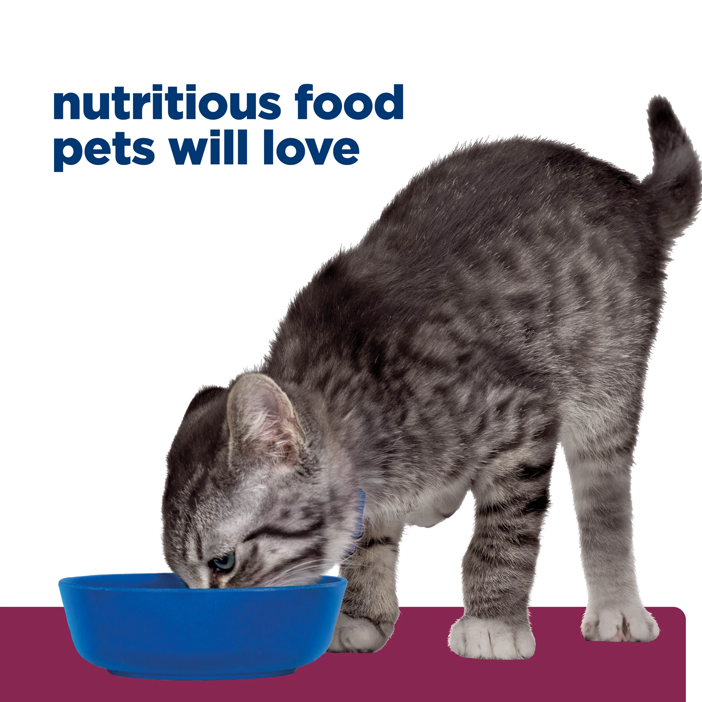 Hills Prescription i/d Kitten 156g - Image 13