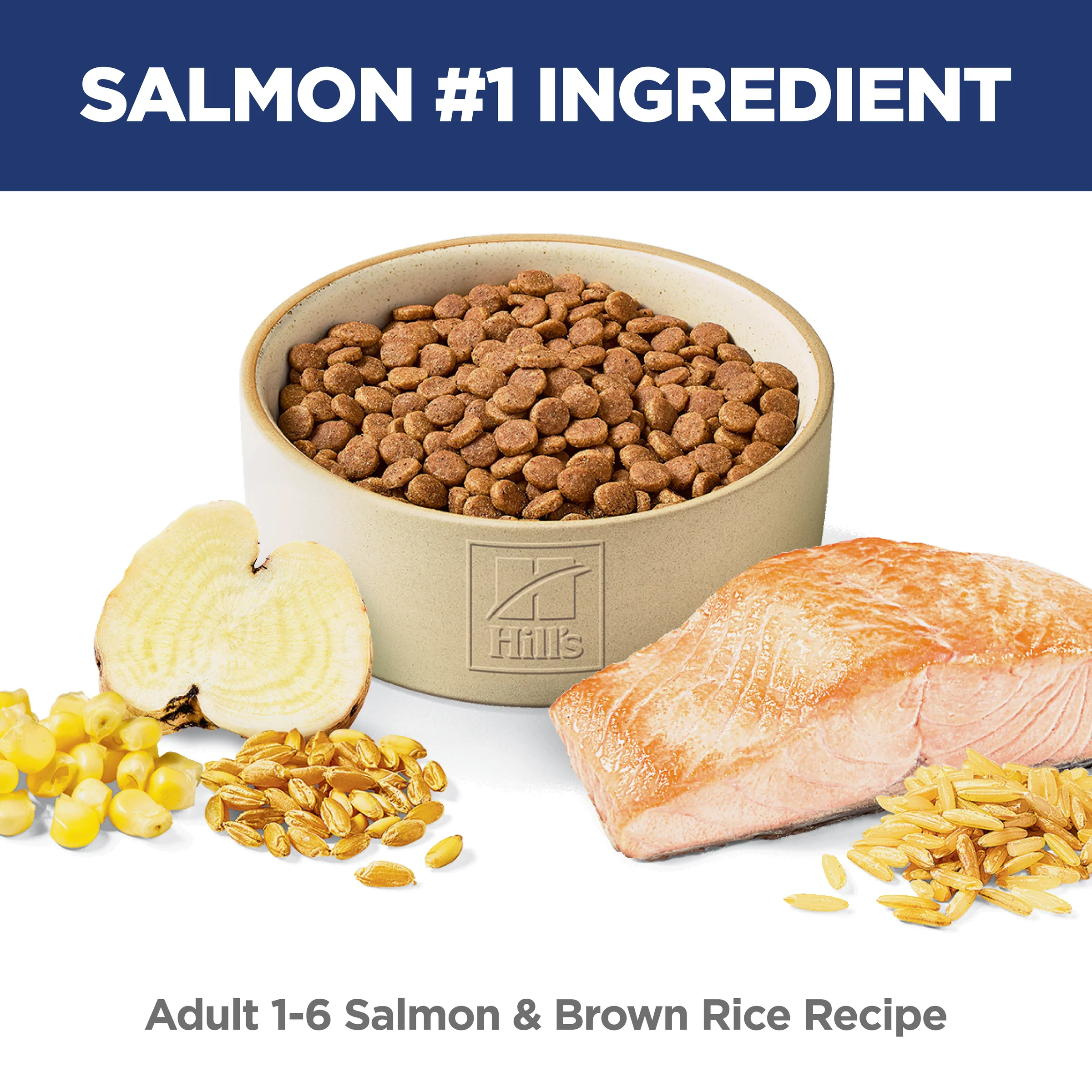 Hills Science Diet Adult Feline Salmon 2.94kg - Image 6