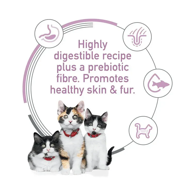 Hills Science Diet Kitten Sensitive Skin and Stomach Salmon 1.58kg - Image 3