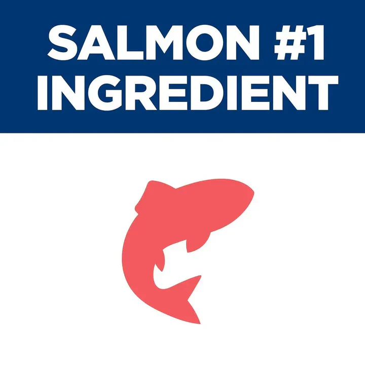 Hills Science Diet Kitten Sensitive Skin and Stomach Salmon 1.58kg - Image 4