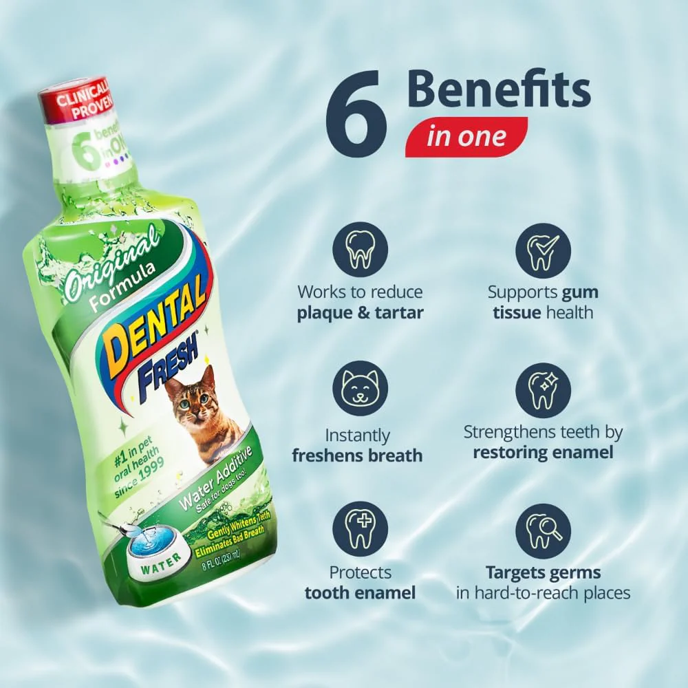Original Formula - Dental Fresh - Image 2