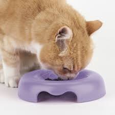 United Pets Kitty Cat Bowl Lilac - Image 2