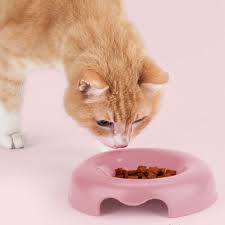United Pets Kitty Cat Bowl Pink - Image 2