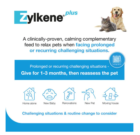 Zylkene Plus 75mg Cat & Small Dog - Image 3